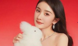 杨幂 娱乐圈爆料,揭秘明星背后的故事