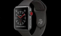 苹果手表最新款爆料图标,全新图标设计引领智能穿戴潮流”